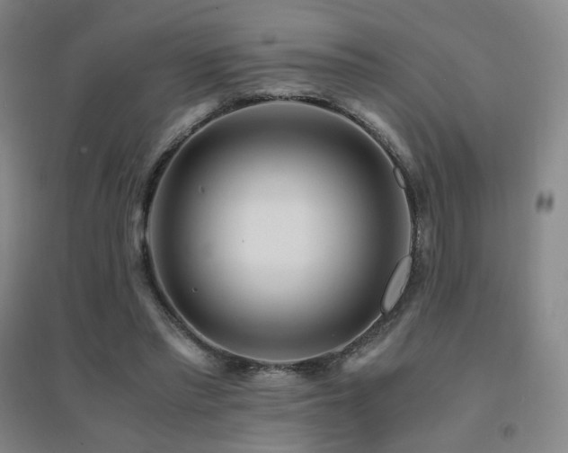 X0000094430397200711081230