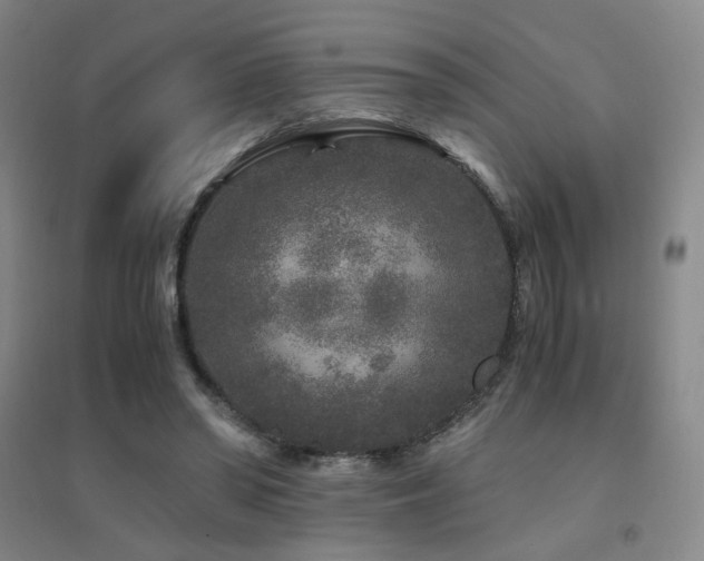 X0000094430398200711081230