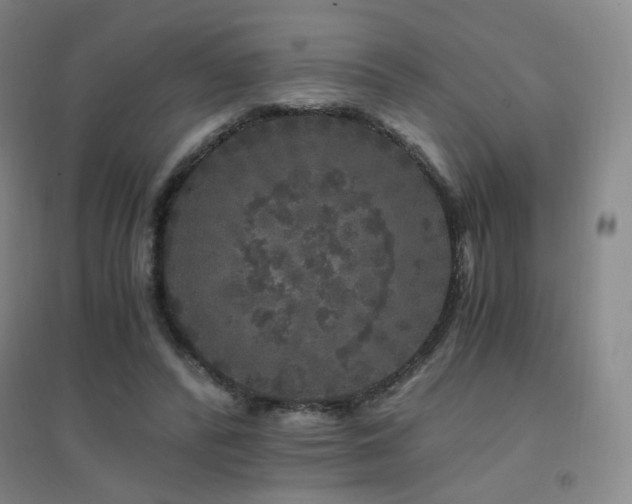 X0000094430400200711081230