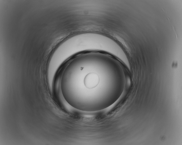 X0000094430403200711081230