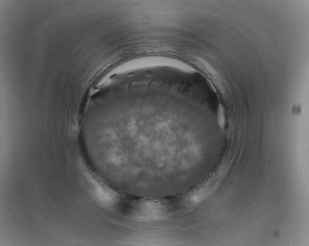 X0000094430405200711081230