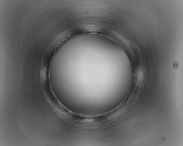 X0000094430406200711081230