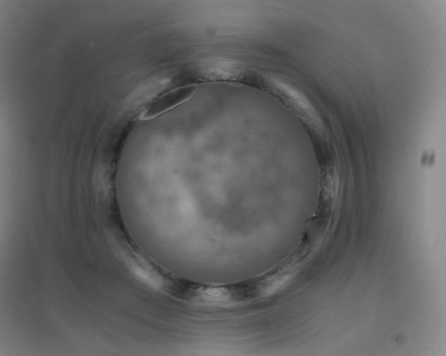 X0000094430409200711081230