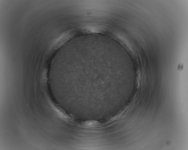 X0000094430410200711081230