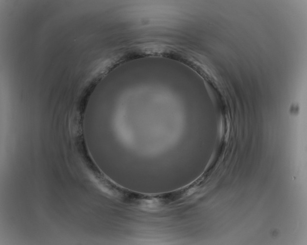 X0000094430411200711081230