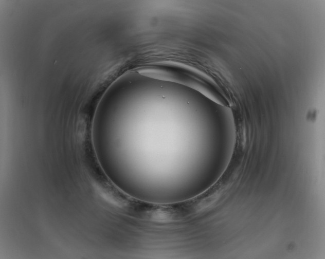 X0000094430412200711081230