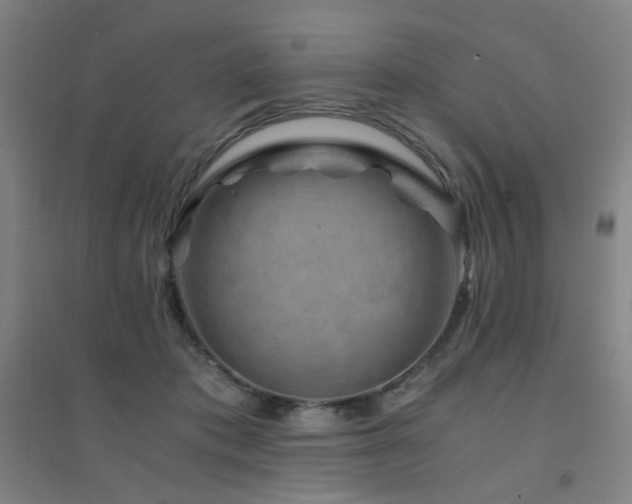 X0000094430413200711081230