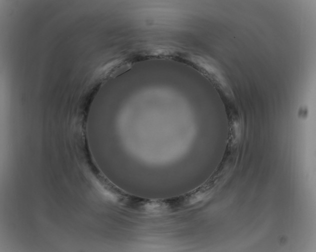 X0000094430415200711081230