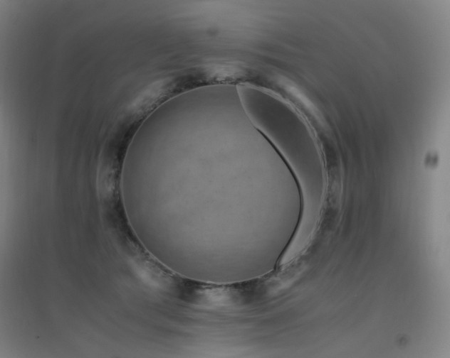 X0000094430417200711081230