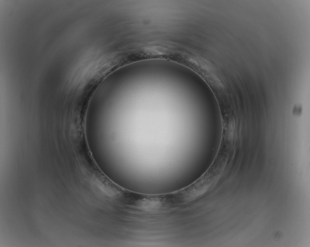 X0000094430418200711081230