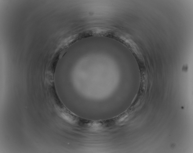 X0000094430419200711081230