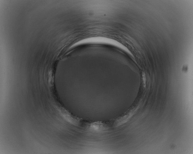 X0000094430420200711081230