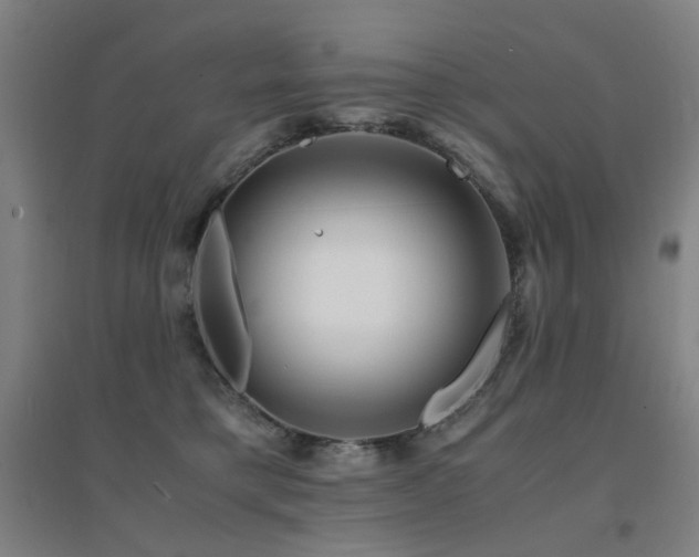 X0000094430421200711081230