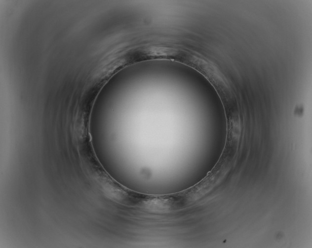X0000094430422200711081230