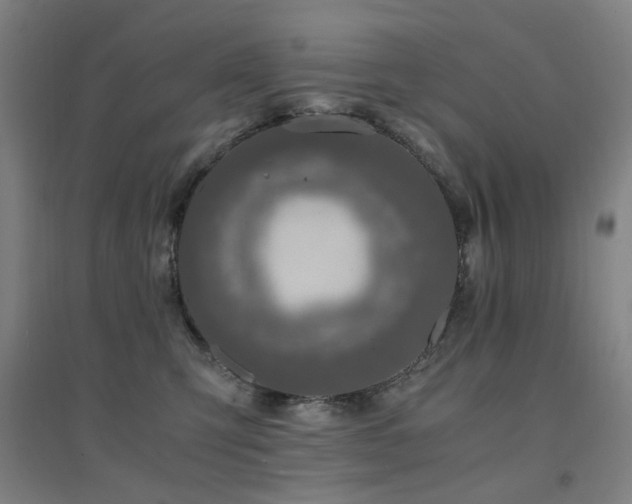 X0000094430423200711081230