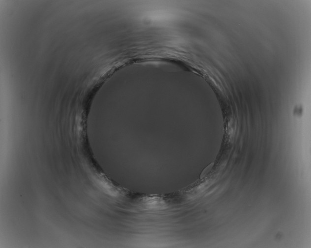 X0000094430424200711081230