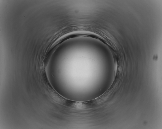 X0000094430425200711081230