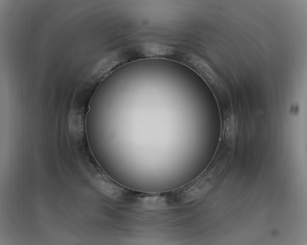 X0000094430426200711081230