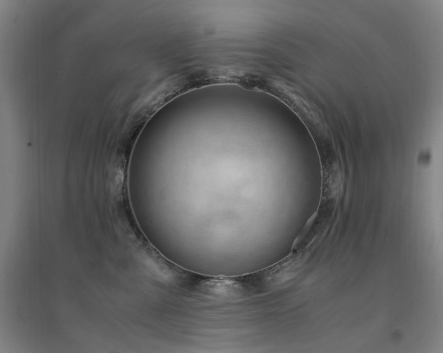 X0000094430427200711081230