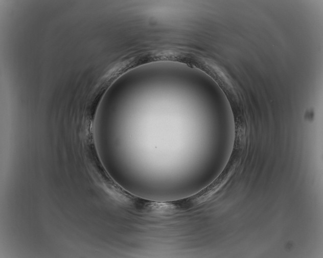 X0000094430429200711081230