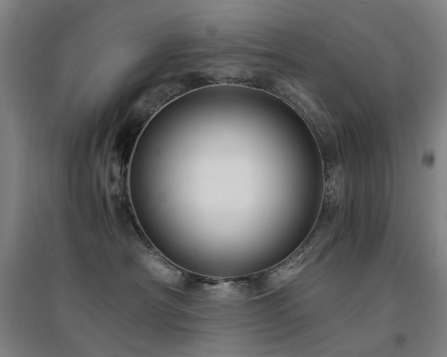 X0000094430430200711081230