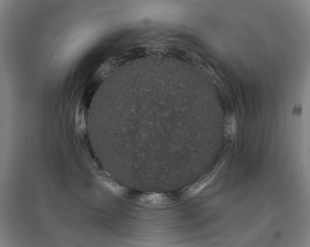 X0000094430431200711081230