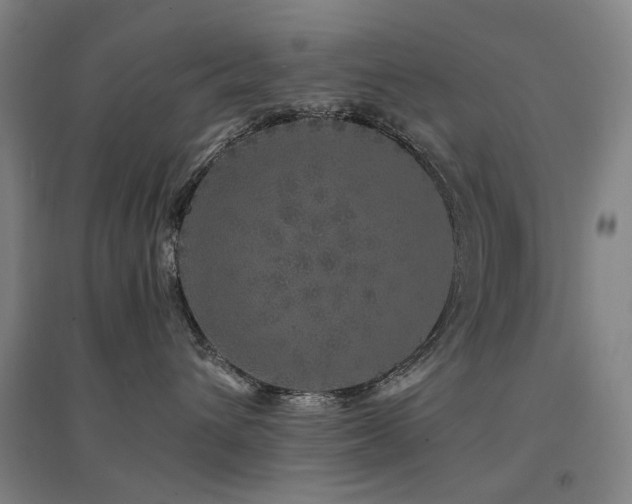 X0000094430432200711081230