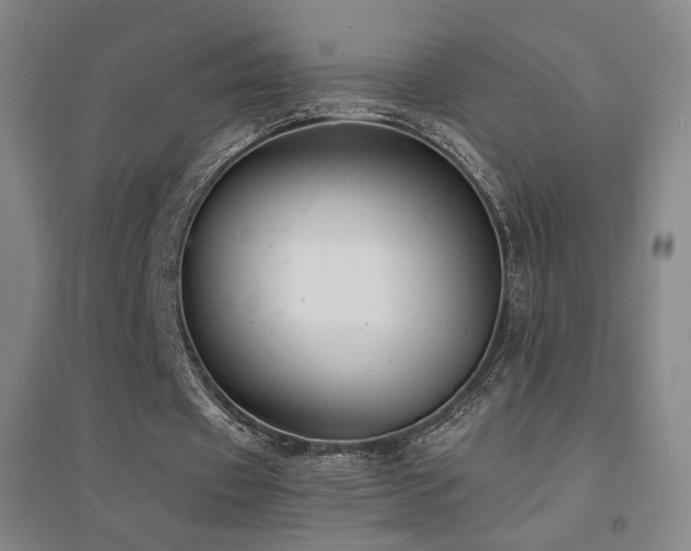 X0000094430433200711081229