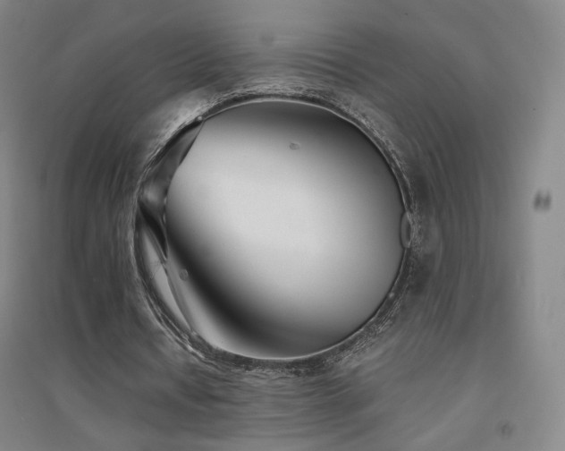 X0000094430434200711081229