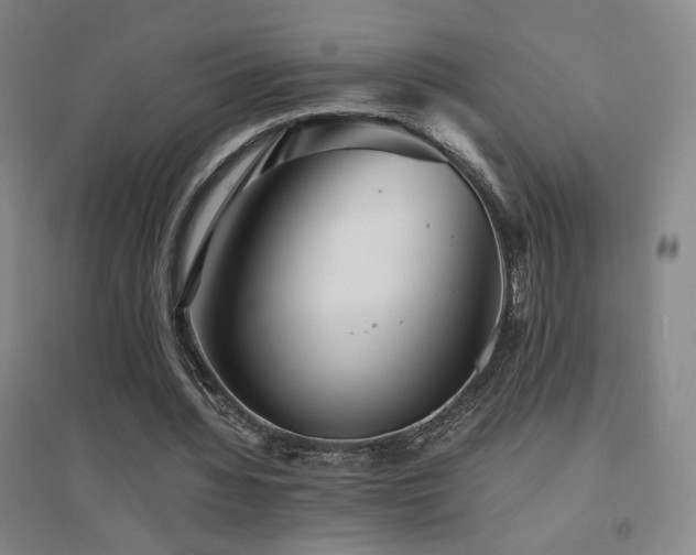 X0000094430436200711081229