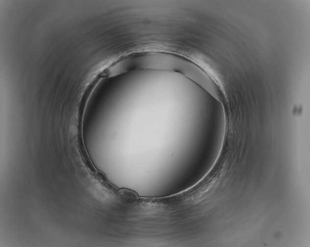 X0000094430437200711081229