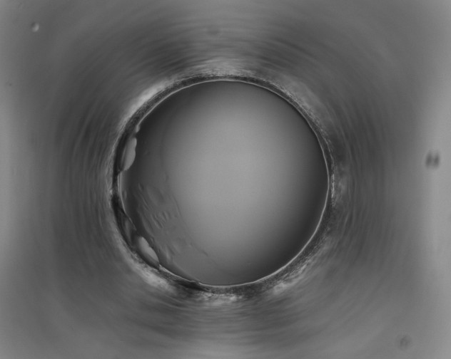 X0000094430438200711081229