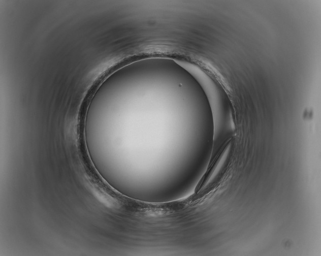 X0000094430439200711081229