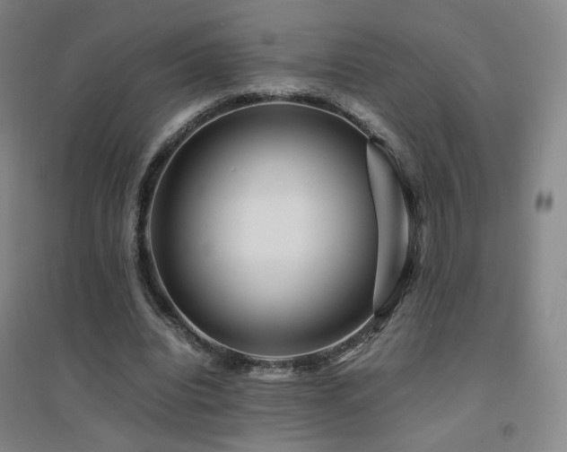 X0000094430440200711081229