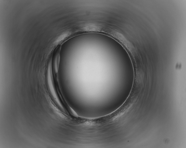 X0000094430441200711081229