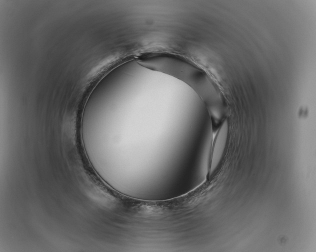 X0000094430442200711081229