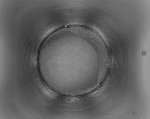 X0000094430443200711081229