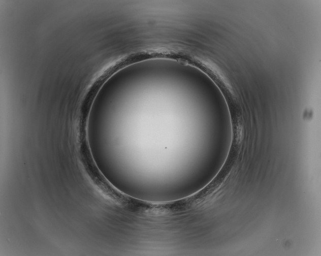 X0000094430444200711081229