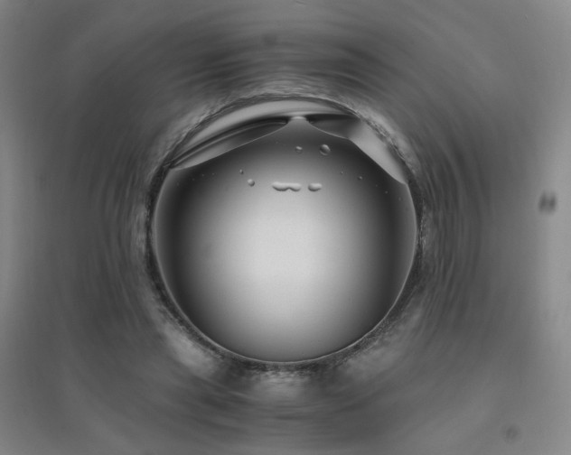 X0000094430445200711081229