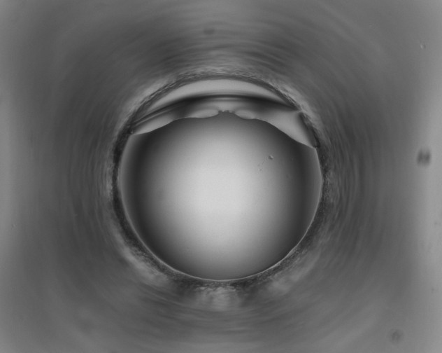 X0000094430446200711081229