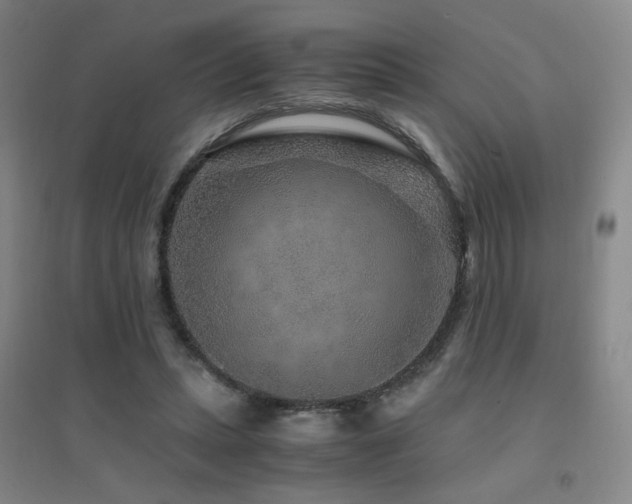 X0000094430447200711081229