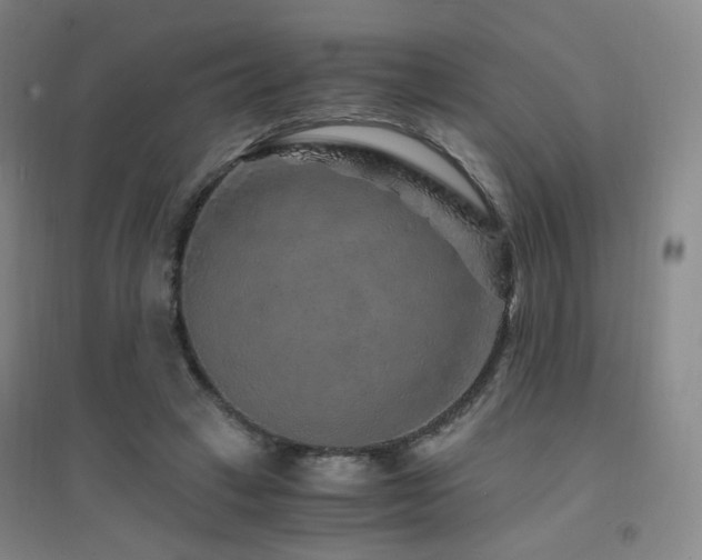 X0000094430449200711081229