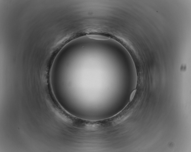 X0000094430450200711081229