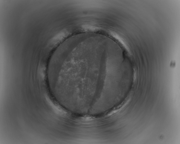 X0000094430451200711081229