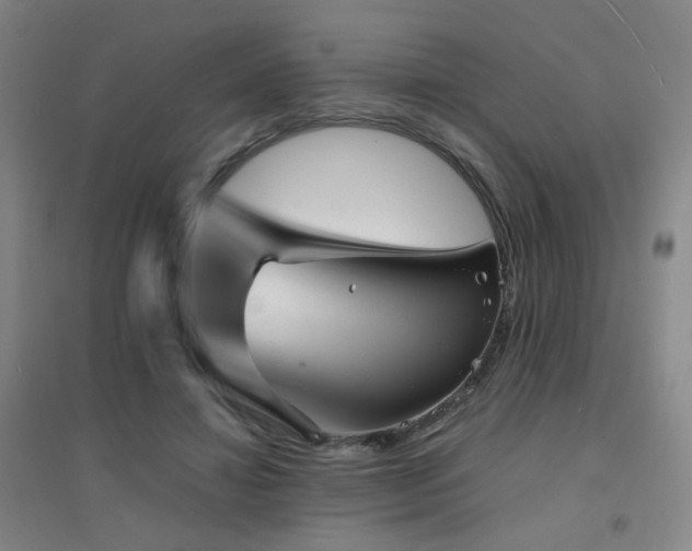 X0000094430452200711081229