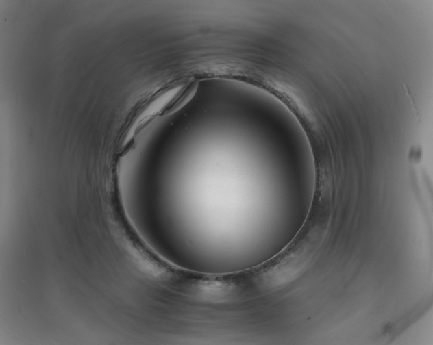 X0000094430453200711081229