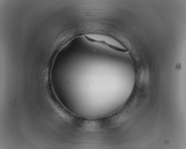 X0000094430454200711081229