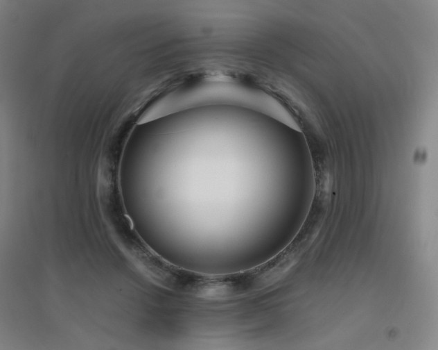 X0000094430456200711081229