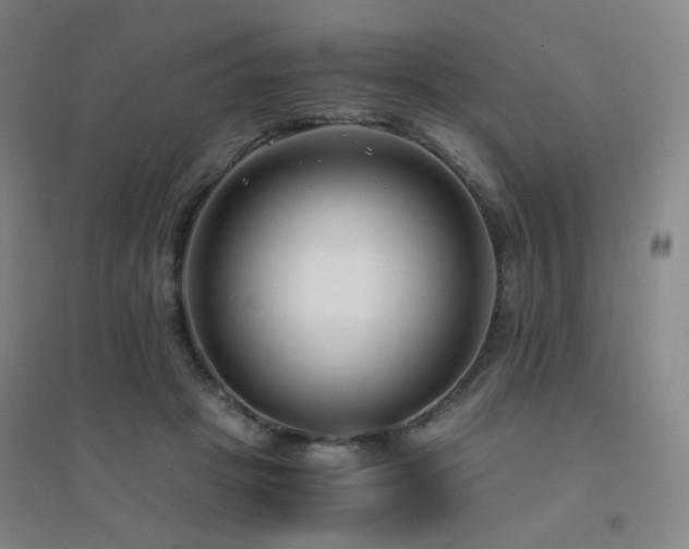 X0000094430457200711081229