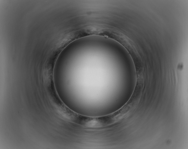 X0000094430460200711081229
